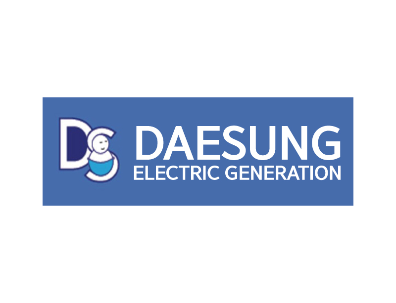 DAESUNG ELECTRIC GENERATION