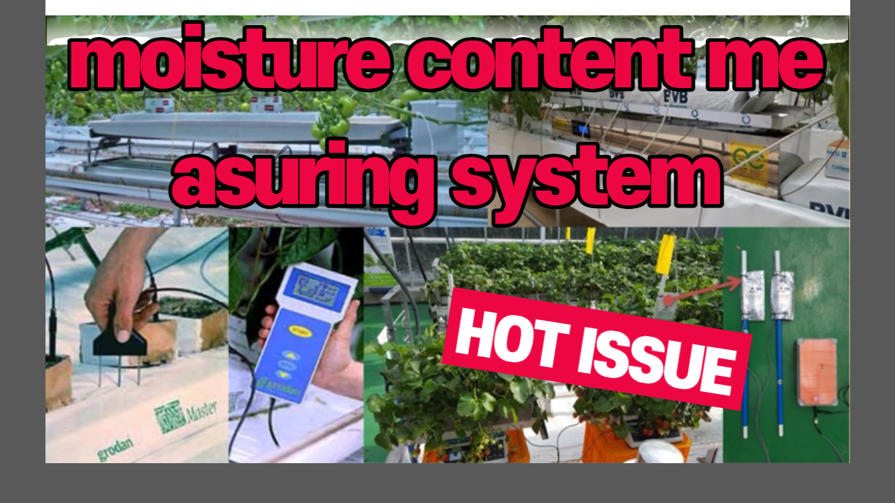 The moisture content measuring system