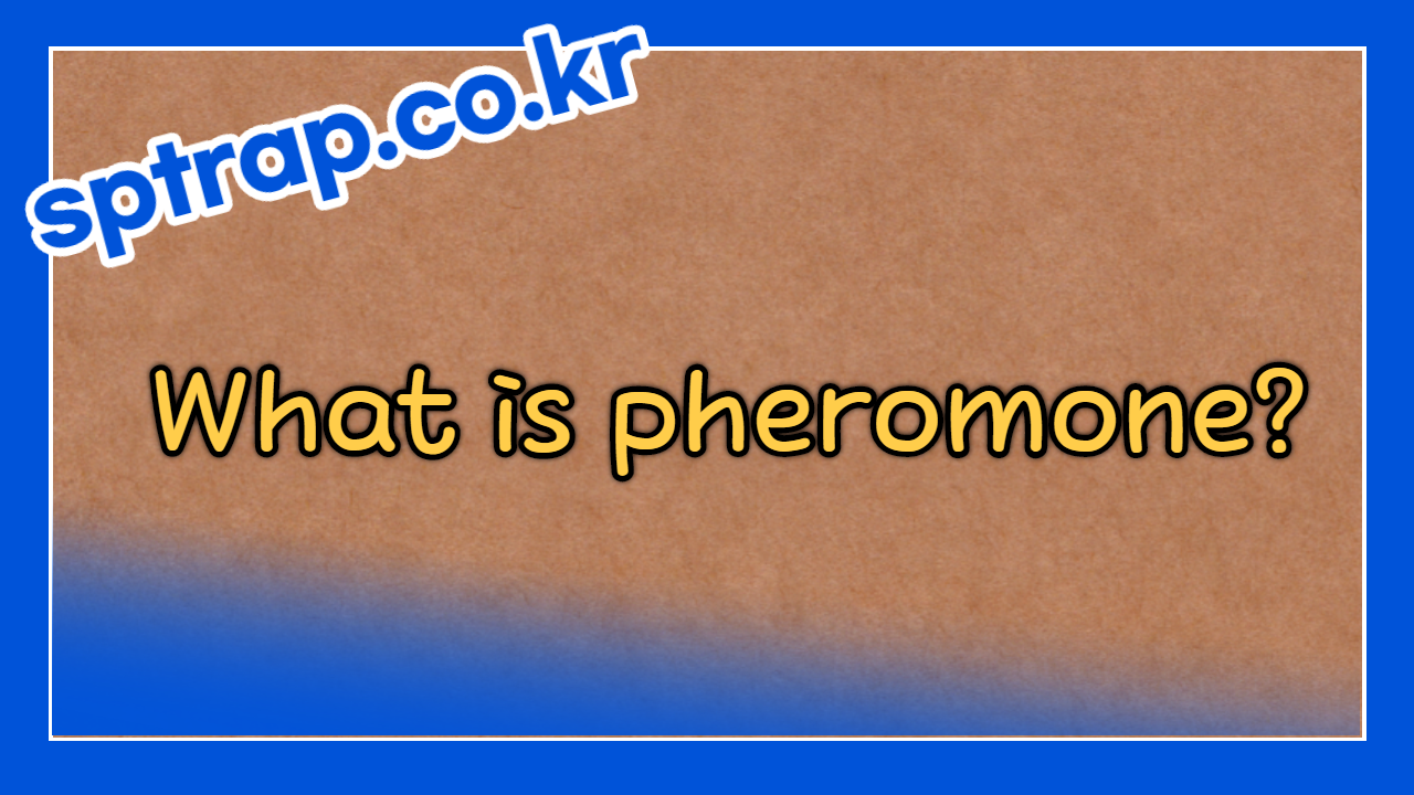 What is phermon?