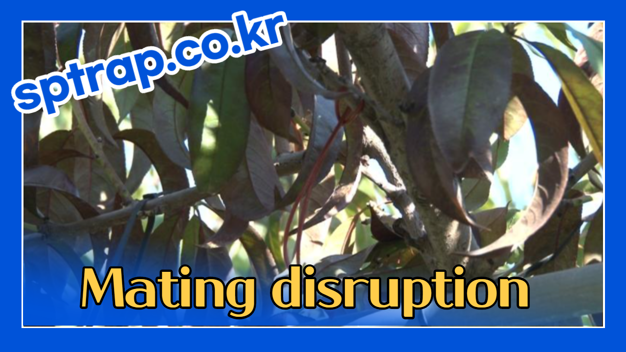 Mating disruption