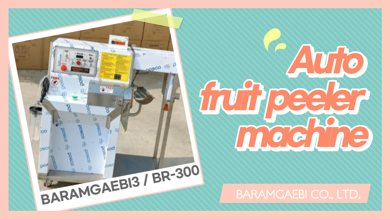 Auto fruit peeler machine (BR-A300)