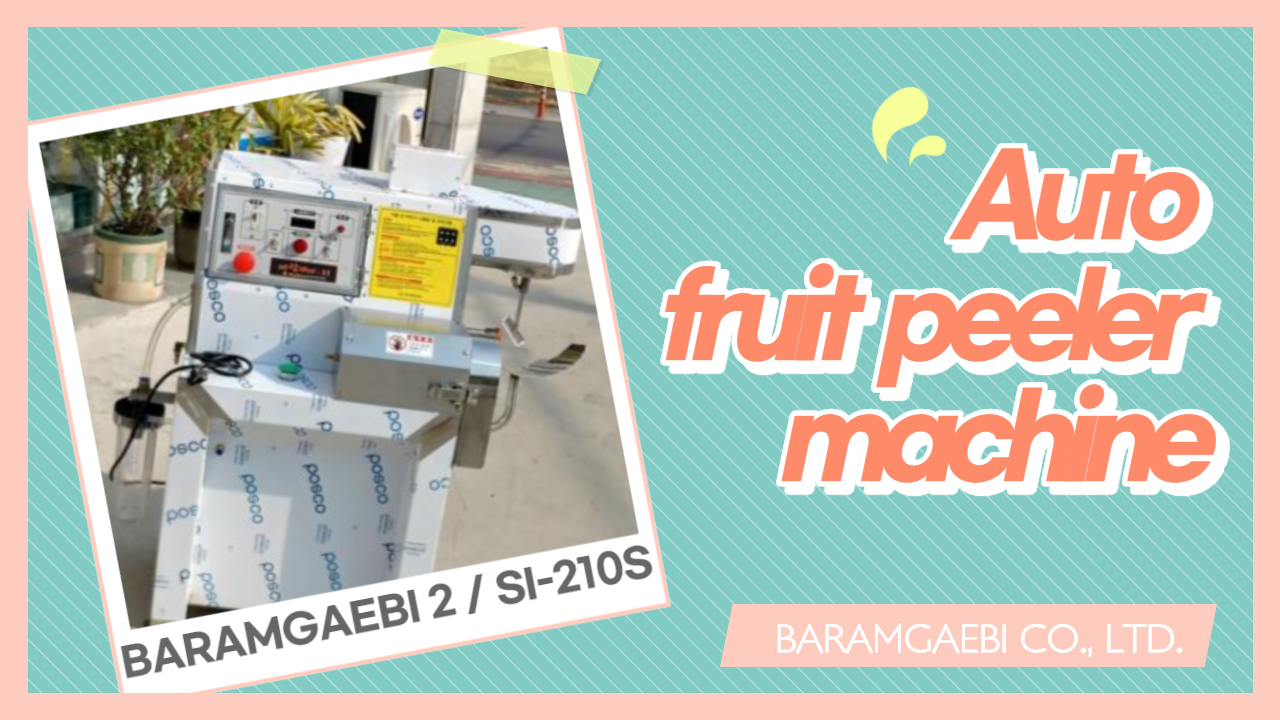 Auto fruit peeler machine (SI-210S)