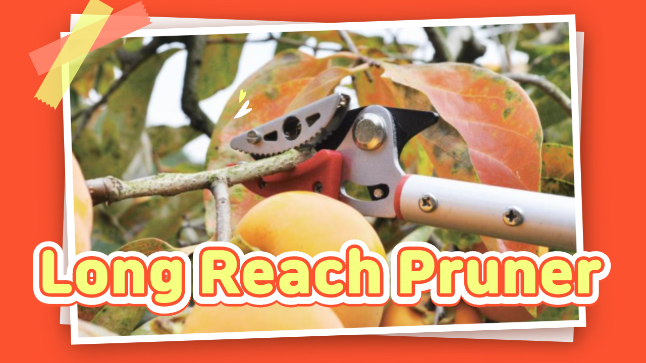 long-reach pruner tongs-type (S-270, S-280, S-290, S-300,S-310, S-330)