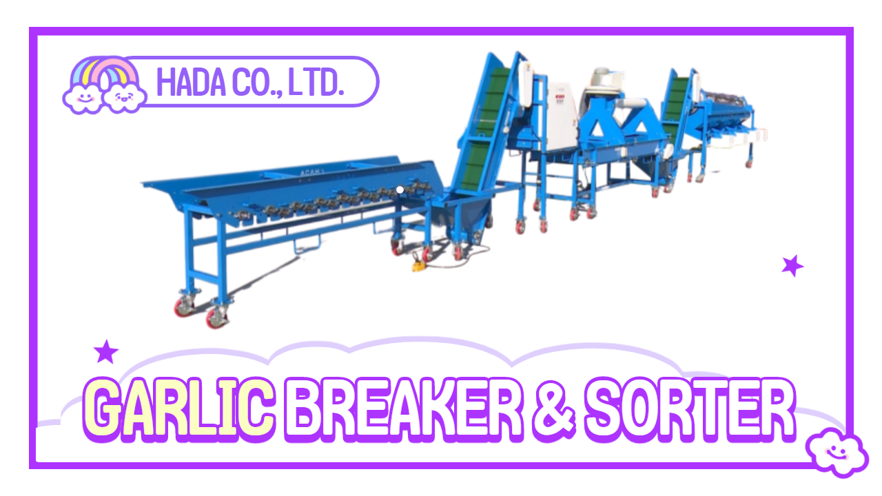 Garlic separation sorting machine- bulb Garlic Sorter, clove garlic sorter (HADA-GBS4)