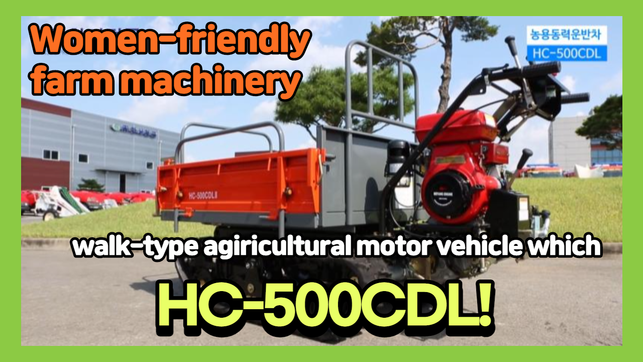 Mini dumper (HC-500CDL)