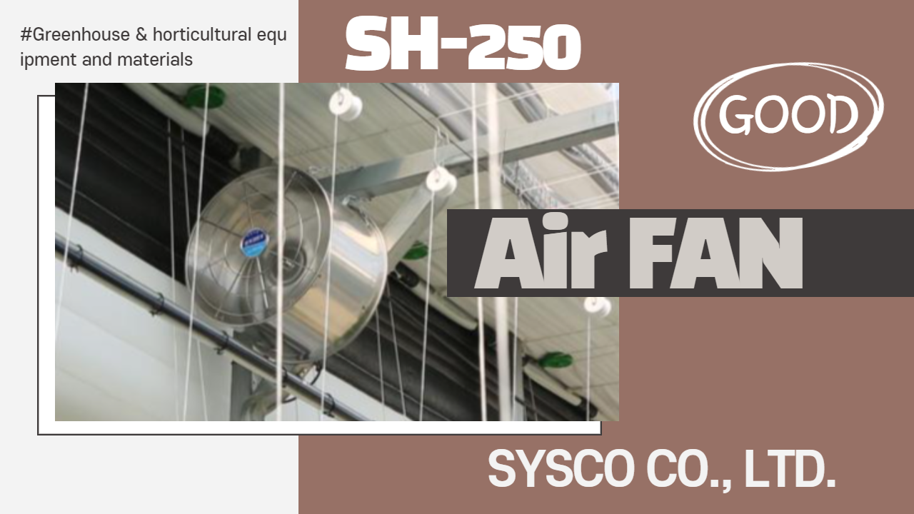 Air Fan (SH-250)