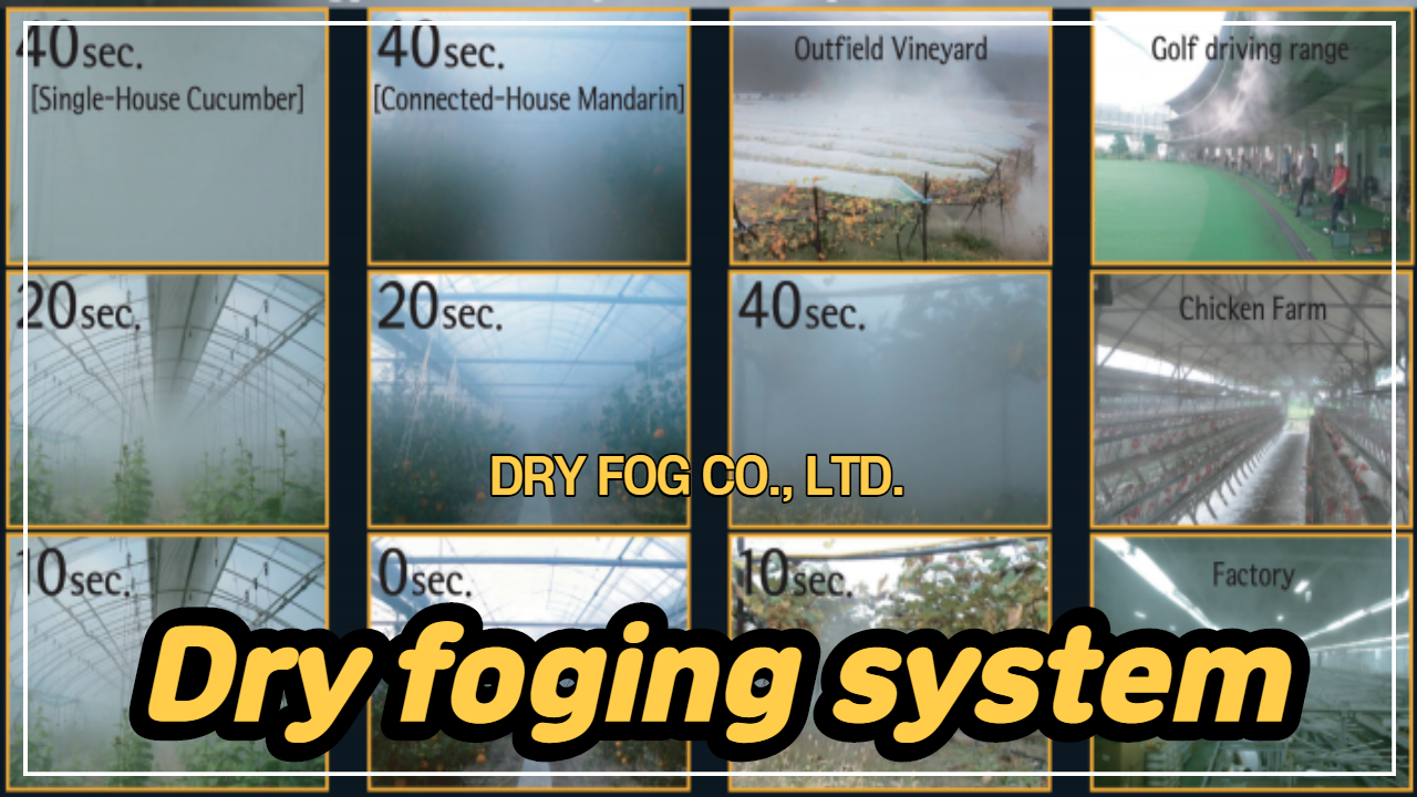 Dry fog system