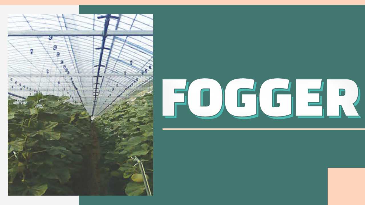 FOGGER