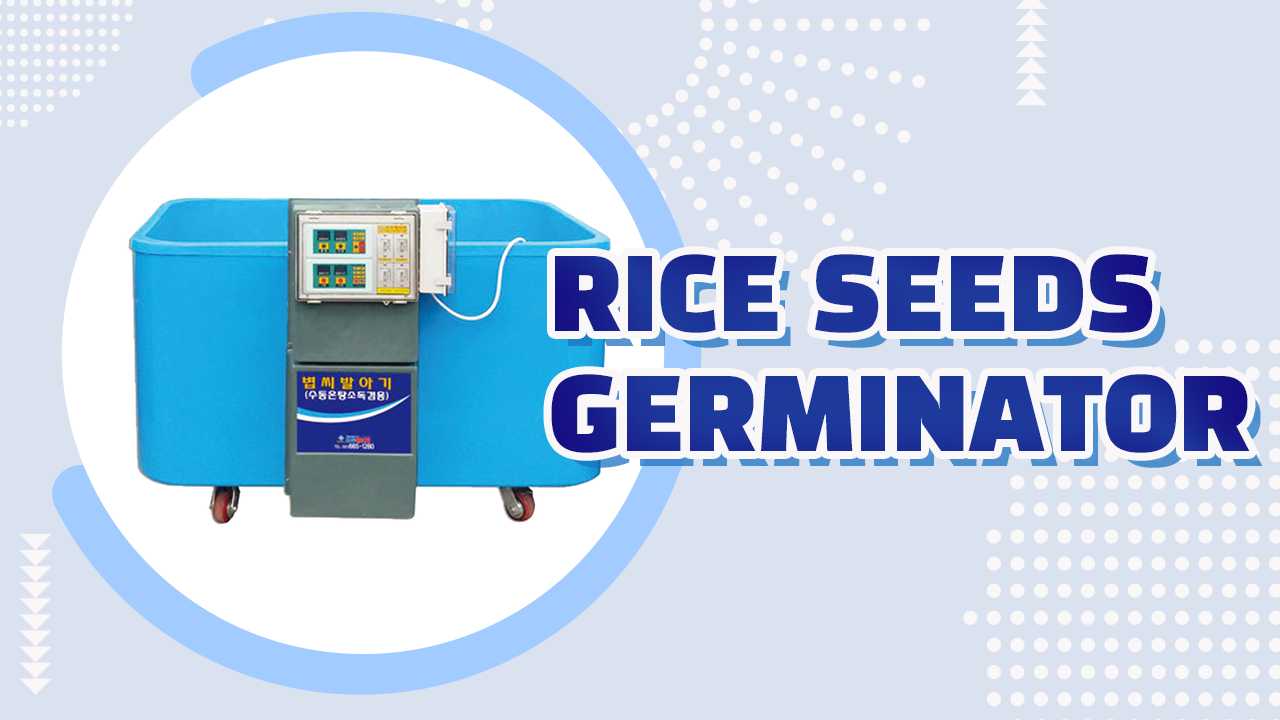 RICE SEEDS GERMINATOR