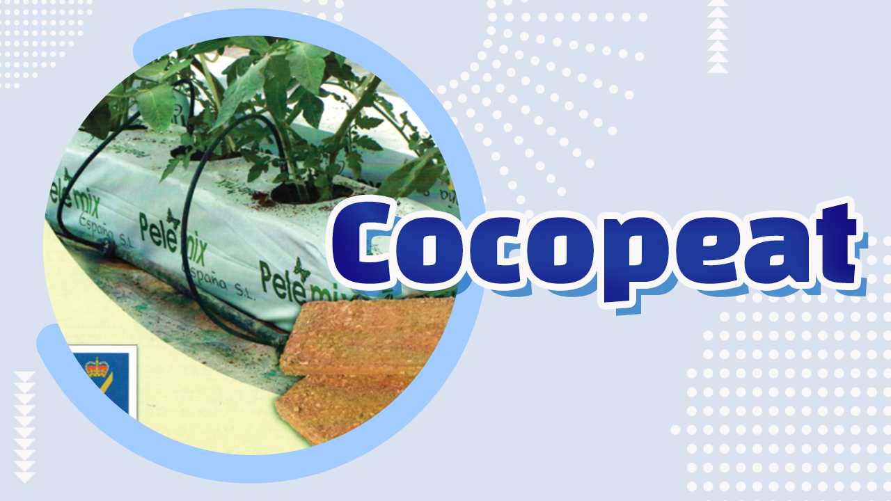 Cocopeat