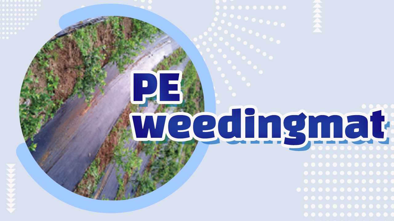 PE weedingmat