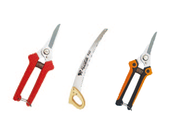 scissors / saws (hand or electirc motor type)