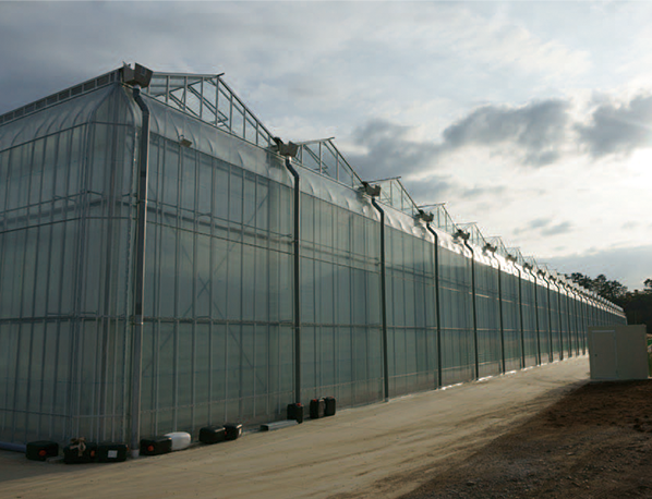 greenhouse(plastic, glass type)