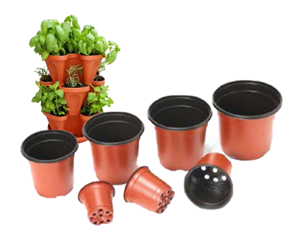 pot for seeding