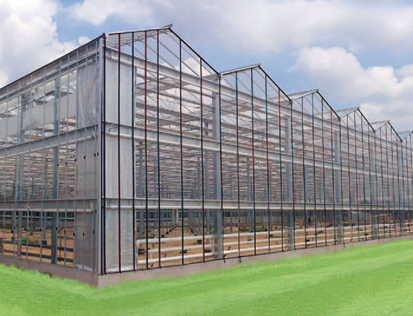 greenhouse(plastic, glass type)